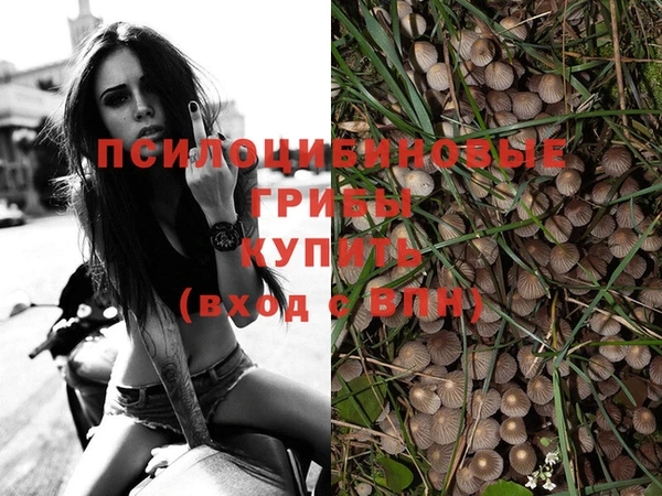 a pvp Абдулино