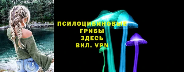 прущая мука Абаза