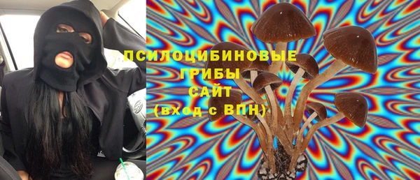 прущая мука Абаза